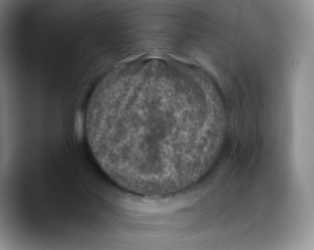 X0000089700022200707201749