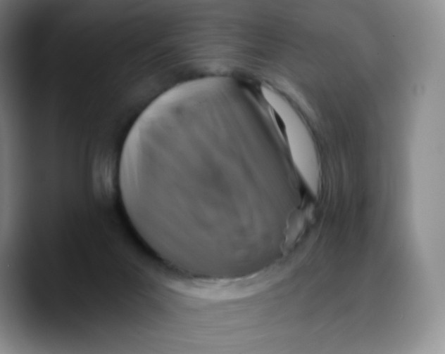 X0000089700023200707201749