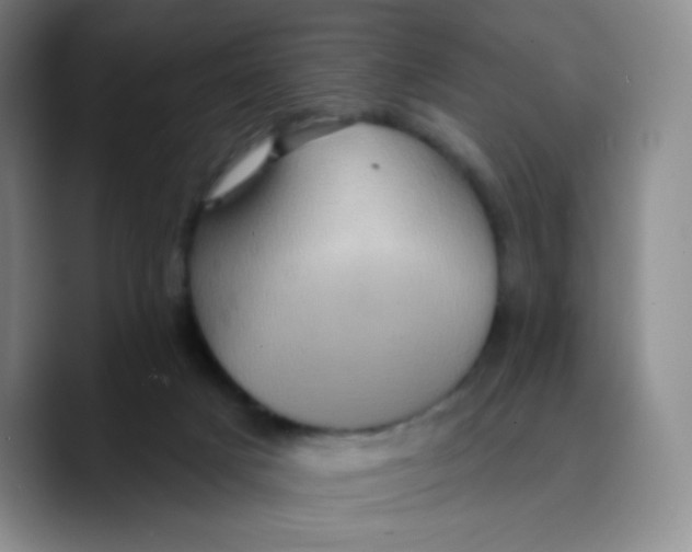 X0000089700025200707201749