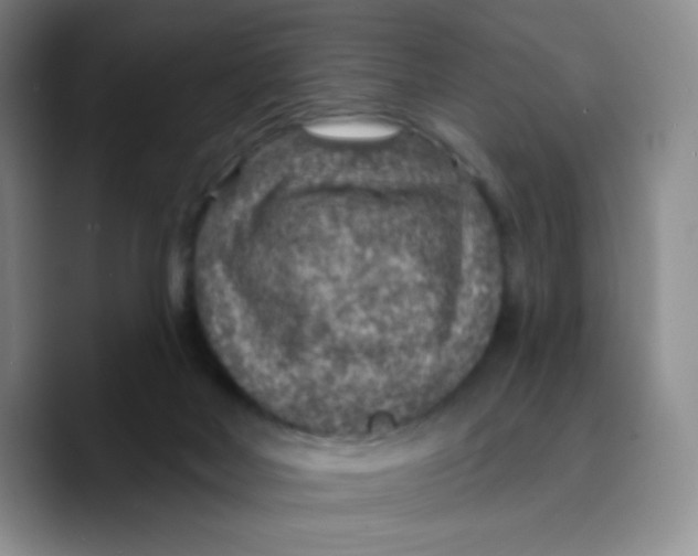 X0000089700026200707201749