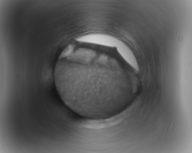 X0000089700029200707201749