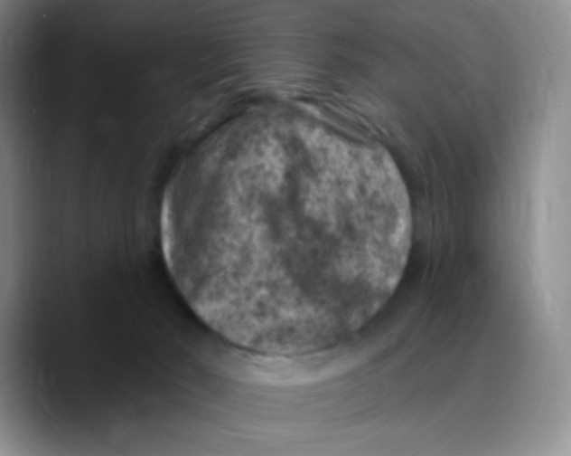 X0000089700030200707201749