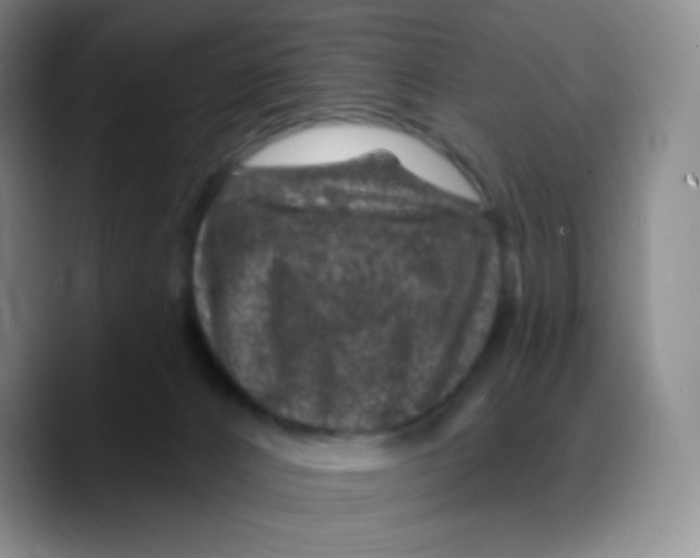 X0000089700032200707201749