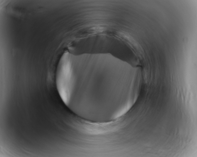 X0000089700035200707201749