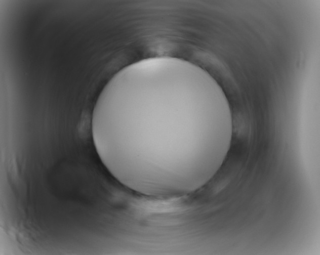 X0000089700036200707201749