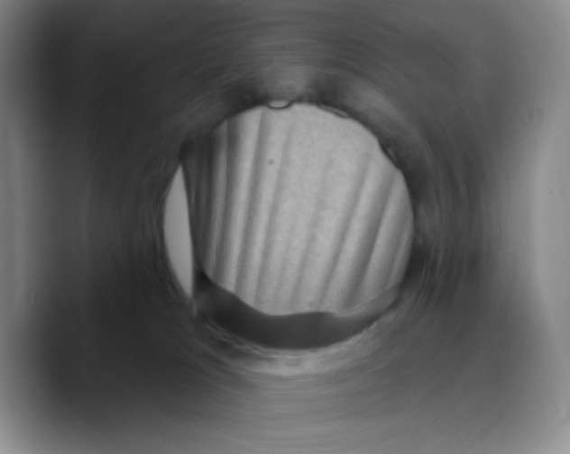 X0000089700037200707201749
