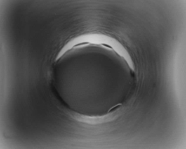 X0000089700039200707201749