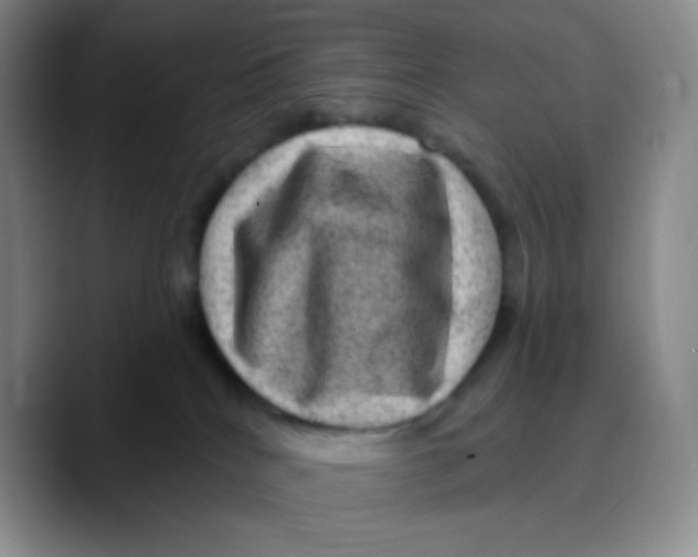 X0000089700040200707201749