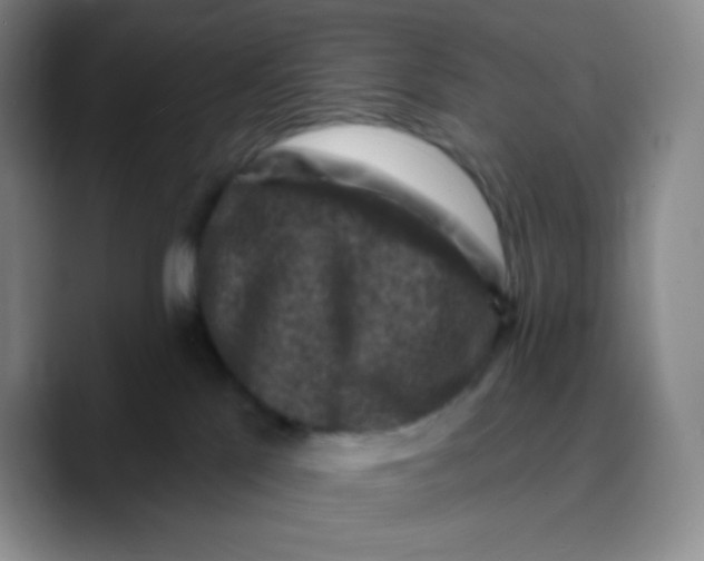 X0000089700041200707201749
