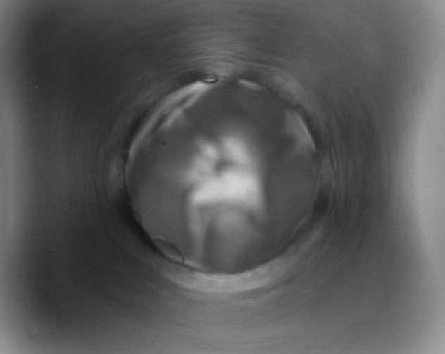 X0000089700043200707201749