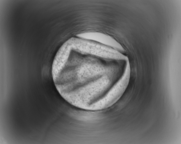 X0000089700044200707201749