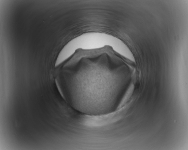 X0000089700045200707201749