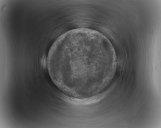 X0000089700046200707201749
