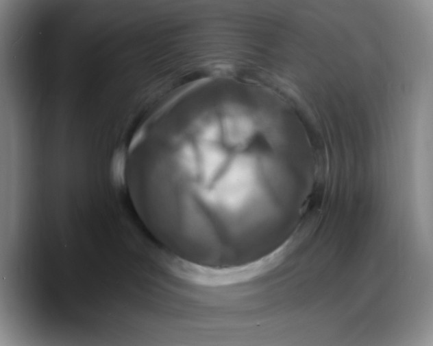 X0000089700047200707201749