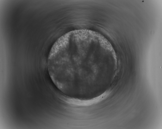 X0000089700048200707201749