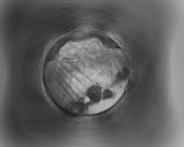 X0000089700049200707201748