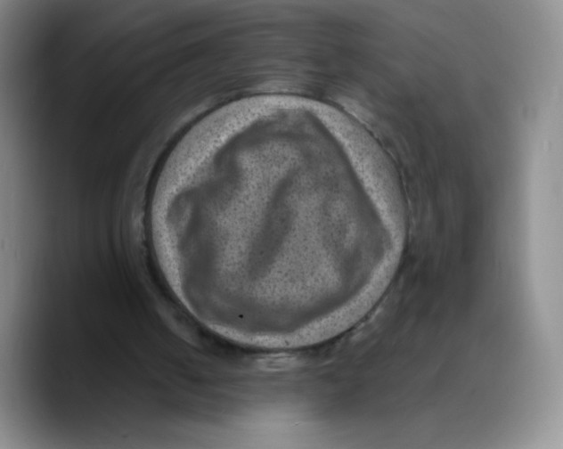 X0000089700050200707201748