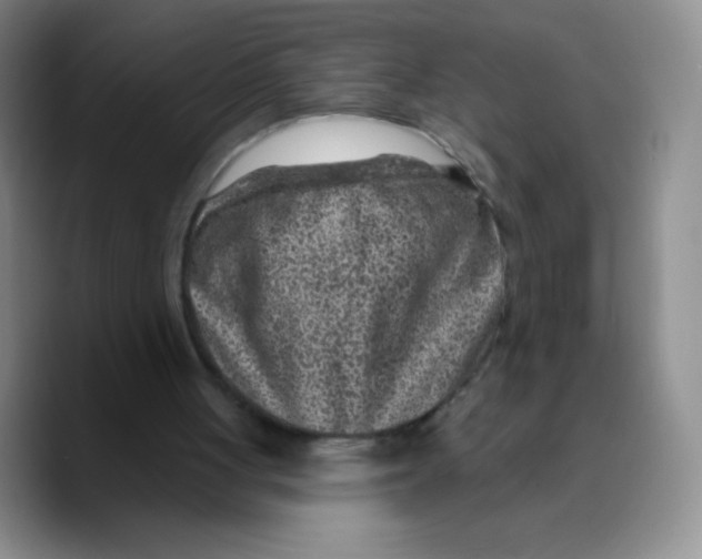 X0000089700051200707201748