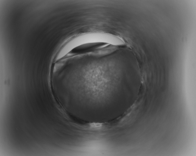 X0000089700052200707201748