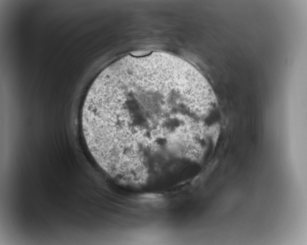 X0000089700053200707201748