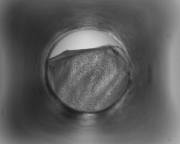 X0000089700055200707201748