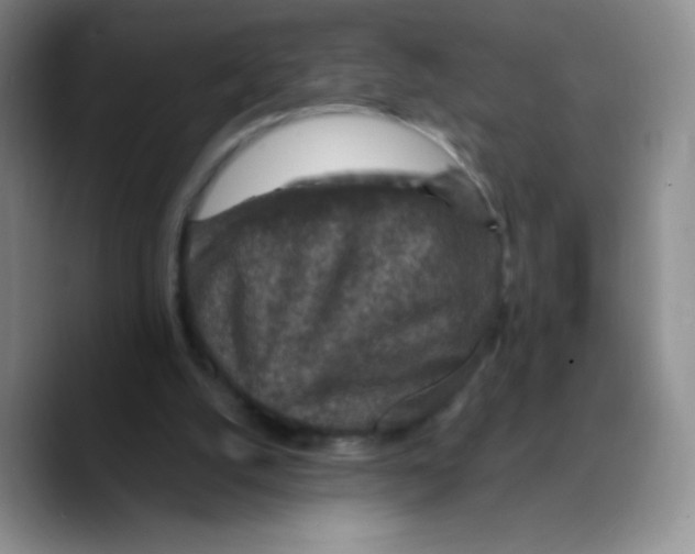 X0000089700056200707201748