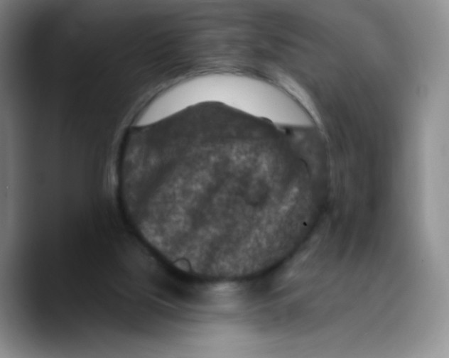 X0000089700059200707201748