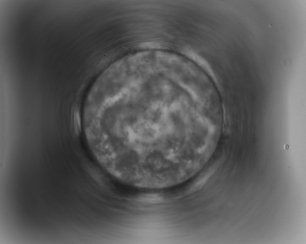 X0000089700061200707201749