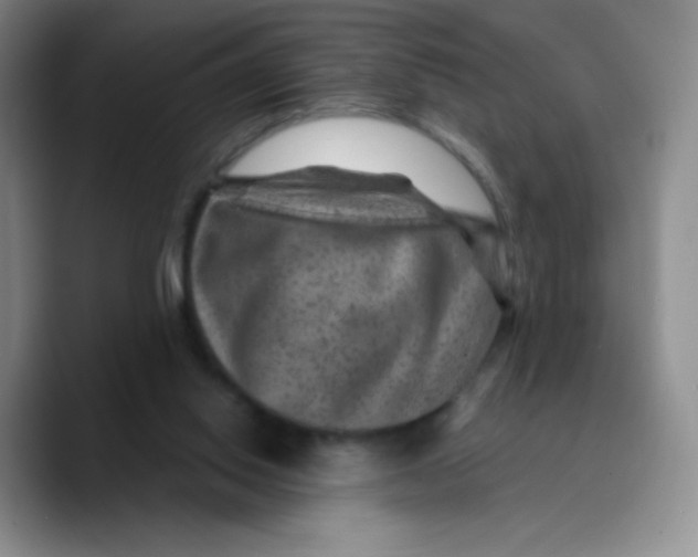 X0000089700062200707201749