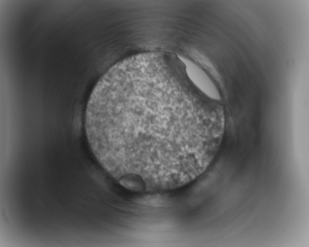 X0000089700065200707201749