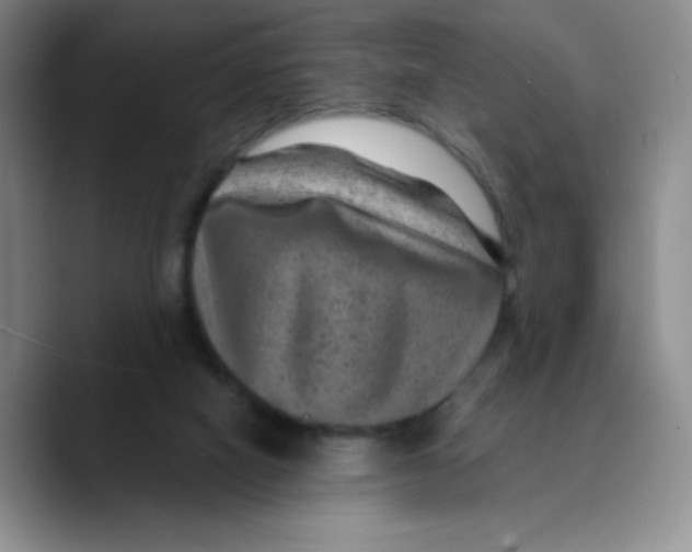 X0000089700066200707201749