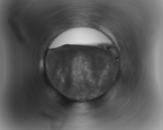 X0000089700067200707201749