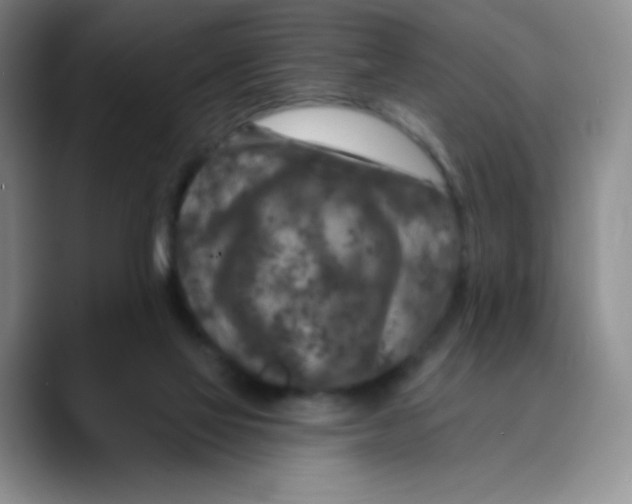 X0000089700069200707201749