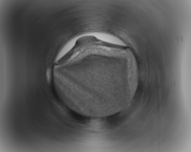 X0000089700070200707201749