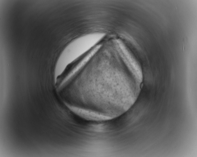 X0000089700071200707201749