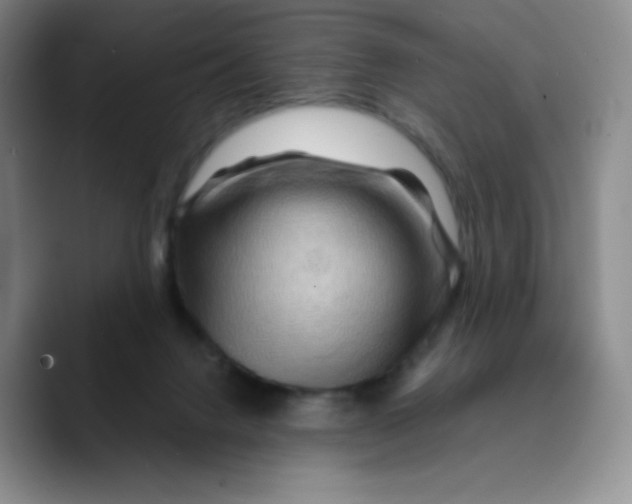 X0000089700072200707201749