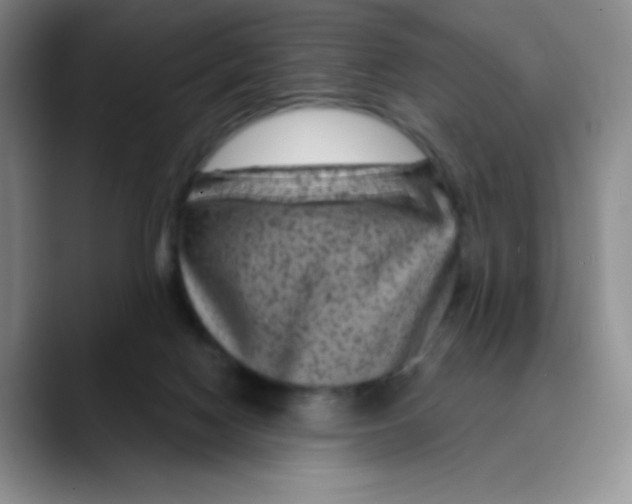 X0000089700074200707201749