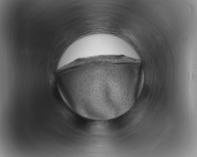 X0000089700077200707201749