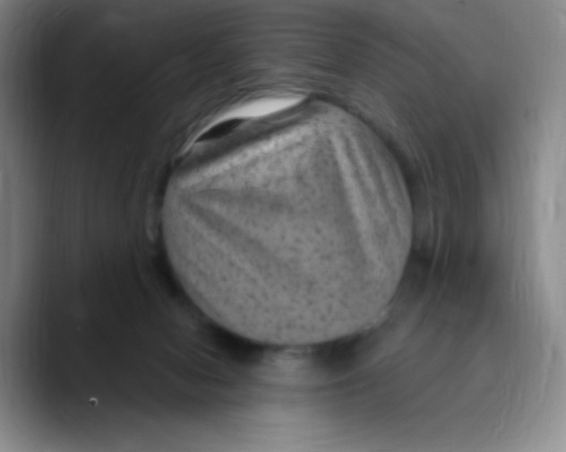 X0000089700078200707201749