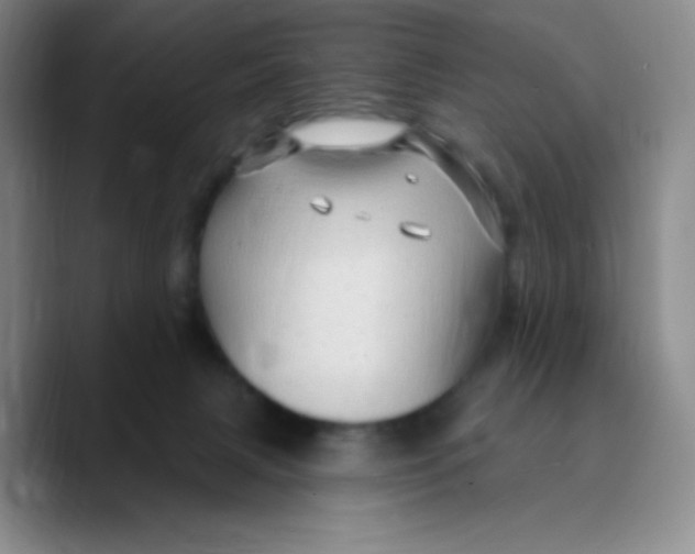 X0000089700079200707201749