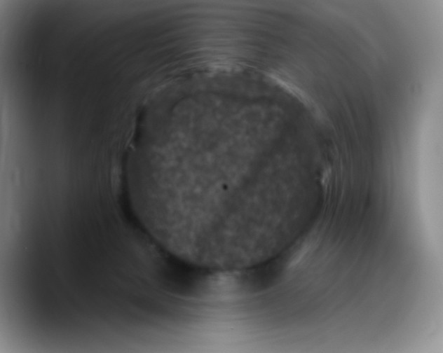 X0000089700080200707201749