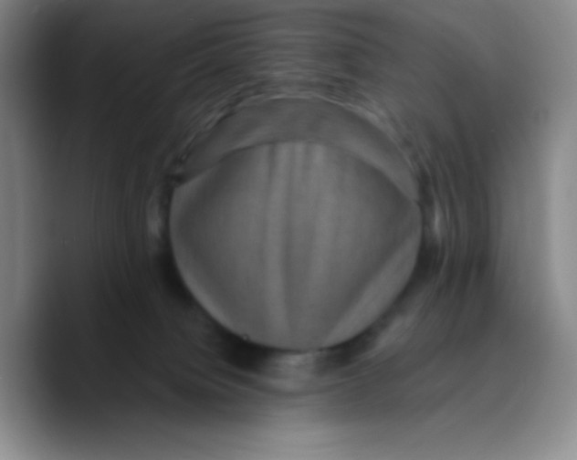 X0000089700084200707201749