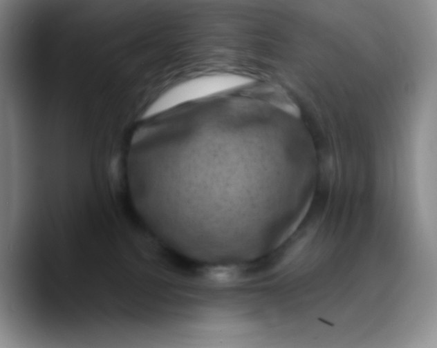 X0000089700088200707201749
