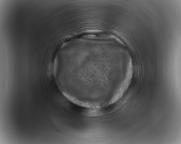 X0000089700093200707201749