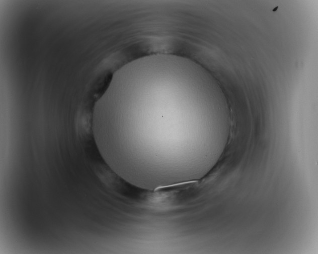 X0000089700096200707201749