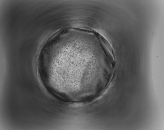 X0000089700097200707201748