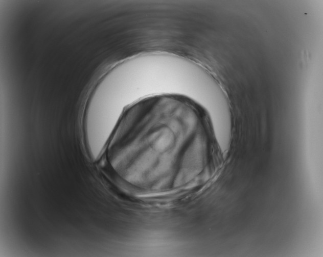 X0000089700099200707201748
