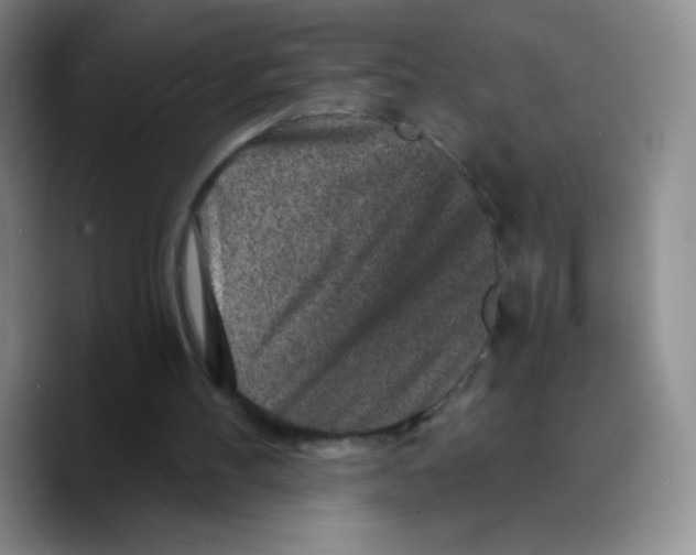 X0000089700100200707201748