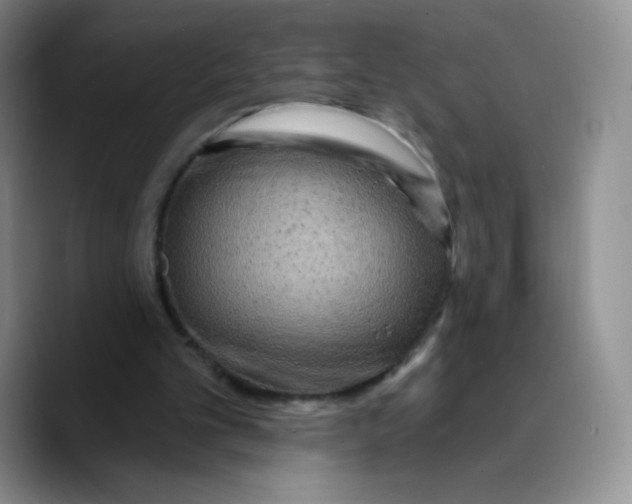 X0000089700101200707201748