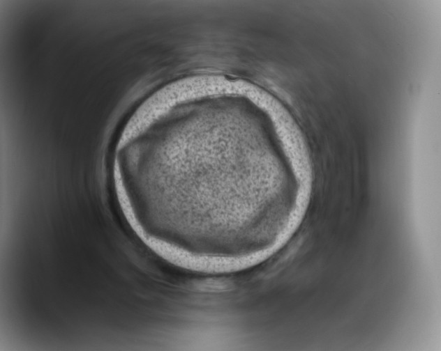 X0000089700102200707201748